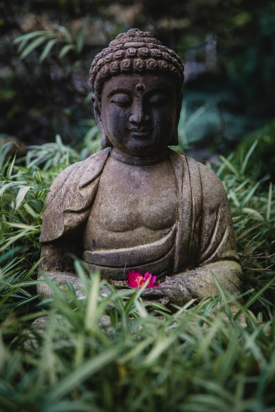 The figure of Buddha
